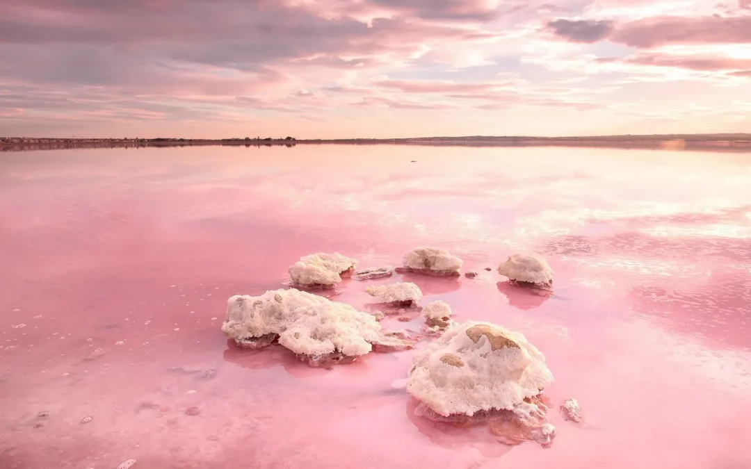 Pink Lagoon Torrevieja