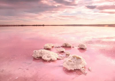 Laguna Rosa Torrevieja