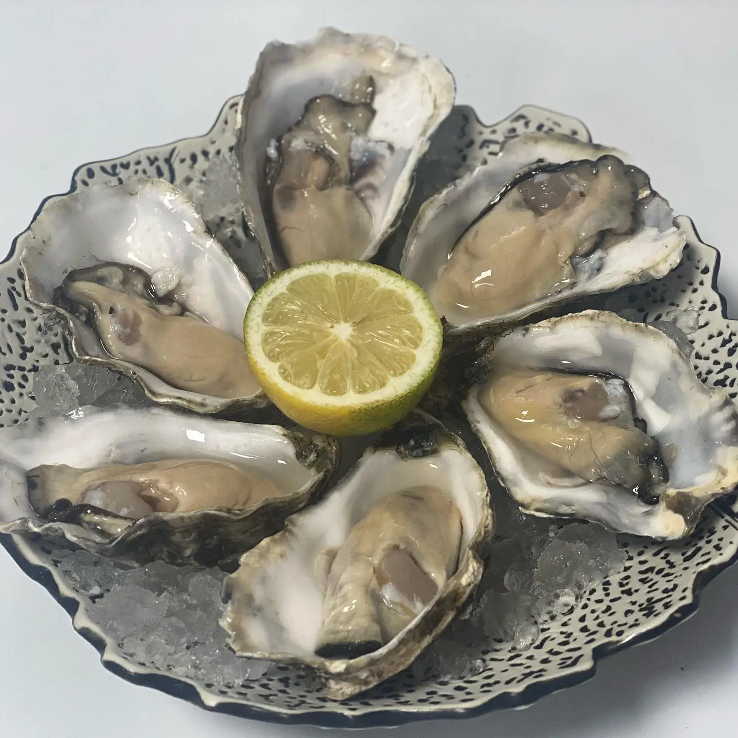 Ostra Fresca