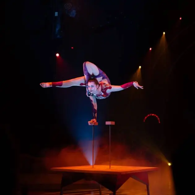 Circo Raluy Legacy 6